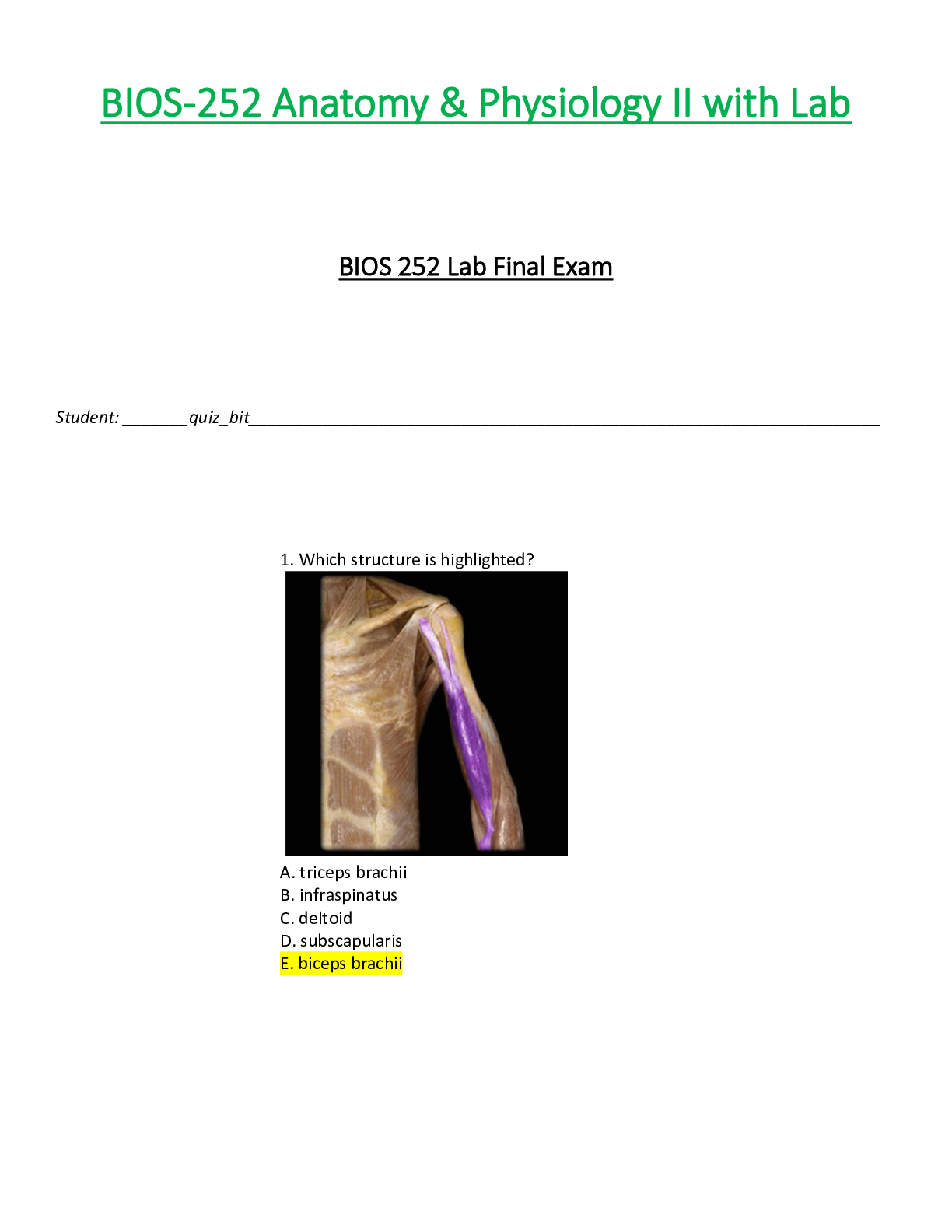 Preview of BIOS252 / BIOS 252 Lab Final Exam (Latest): Anatomy & Physiology II | A & P II - Chamberla